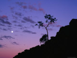 Section of Larapinta Trail Silhouetted in Evening, West Macdonnell National Park, Australia