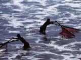 Fishing for Brine on the Southern Coast North of Salinas, Salinas, Ecuador