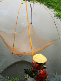 Buy Woman Raising Fixed Fishing Net, Vang Vieng, Vientiane, Laos at AllPosters.com