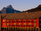 Gulls Sunning Themselves on Top of Building, Svolvaer, Lofoten, Nordland, Norway