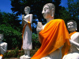 Buy Buddha Statues at Wat Yai Chai Mongkhon, Ayuthaya Historical Park, Thailand at AllPosters.com