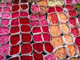 Bunches of Roses on Display at Flower Stall, Bangkok, Thailand