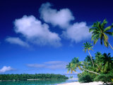 Buy Palm Trees on Aitutaki Lagoon, Aitutaki, Southern Group, Cook Islands at AllPosters.com