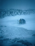 Buy Two People in Blizzard Conditions, Antarctica at AllPosters.com