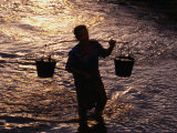 Man Carrying Buckets, Vietnam