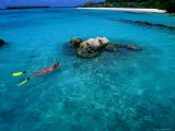 Buy Woman Snorkelling in Lagoon, Maldives at AllPosters.com