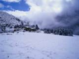 Buy Laya Village Covered in Snow, Laya, Bhutan at AllPosters.com