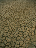 Dried and Cracked Earth in Winter in the Camargue Marshland, Camargue, France