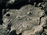 Bubbling Mud from Geysers Near Sol De Manana, Sol De Manana, Bolivia