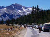 Buy Summer Traffic Jam on the Raod to Yosemite National Park, Yosemite National Park, California, USA at AllPosters.com