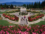 Buy Couple Walking Through University of British Columbia Rose Garden, Vancouver, Canada at AllPosters.com