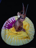 Buy Young Cendrawasih Dancer Happy to Pose for a Photo, Indonesia at AllPosters.com