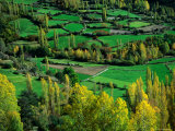 Autumn Fields and Trees., Sallent, Catalonia, Spain