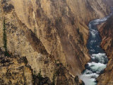 Yellowstone River Surges Down Gorge, Yellowstone National Park, Wyoming, USA
