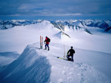 Buy Ski Mountaineering, North-East Greenland National Park, Greenland at AllPosters.com