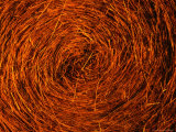Buy Detail of Hay Bale in Rural Ontario, Canada at AllPosters.com