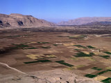 Overhead of Plain Cultivated with Crops, Rada, Yemen