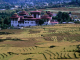 Buy Fields with Trashichhoe Dzong in Background, Thimphu, Bhutan at AllPosters.com
