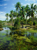 Village and Lagoon, Marang, Terengganu, Malaysia