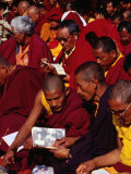 Buy Monks Reading Sacred Text During Puja (Prayers) at Mahabodhi Temple, Bodhgaya, Bihar, India at AllPosters.com