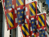 Regional Flags of Burgundy Incorporating Royal Bourbon Fleur-De-Lys Golden Lilies, Beaune, France