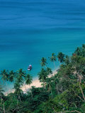 Buy High View of Palm Trees and Ocean, Thailand at AllPosters.com