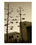 Buy Sedona Series - Desert City at AllPosters.com
