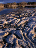 Buy Wetlands at Cape Gantheaume Conservation Park, Gantheaume Point, Kangaroo Island, Australia at AllPosters.com