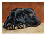 Buy Patience at AllPosters.com