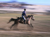 Game of Cirit, Javelin Throwing on Horseback, Blur, Erzurum, Turkey