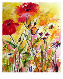 Buy Poppies & Butterflies Provence France at AllPosters.com