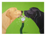 Buy Labs Like To Share - 2 at AllPosters.com