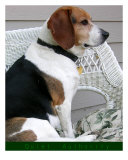 Buy Quiet Authority at AllPosters.com