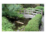 Buy Japanese Garden Bridge at AllPosters.com