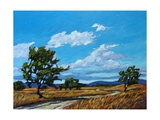 Buy Windy Day In Colorado at AllPosters.com