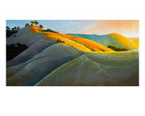 Runners In Poly Canyon Giclee Print