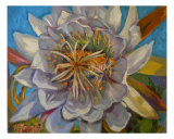 Cactus Flower