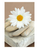 Buy Basics at AllPosters.com