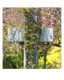 Buy Cross at AllPosters.com