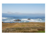 Buy Morning Waves at AllPosters.com