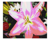Flowers VI