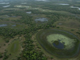 Buy Aerial View of the Wetlands of the Pantanal Region at AllPosters.com
