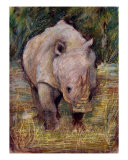 Rhino