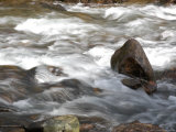 Whitewater Rushes Over Rocks in a River in Montana