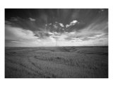 Buy Prairie Landscape at AllPosters.com
