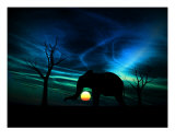 Buy Elephant Sunrise 96 at AllPosters.com