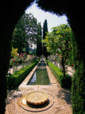 Buy Garden and Fountain, Granada, Spain at AllPosters.com