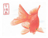 Buy Kingyo at AllPosters.com