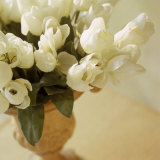 White Tulips in Vase