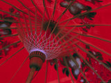 Red Umbrella, Chiang Mai, Northern Thailand - Party Travel